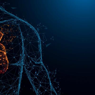 Unul dintre marile mituri despre corpul oamenilor e, în sfârșit, demontat de specialiști