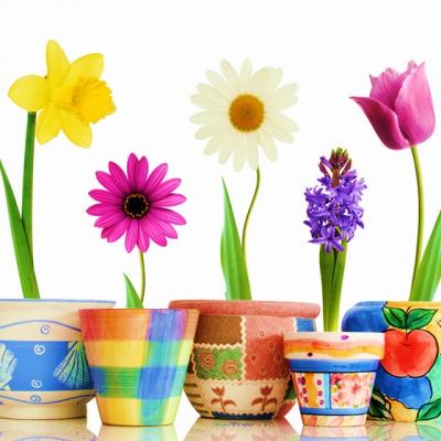 Tainele iubirii: Semnificatiile florilor 