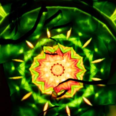 Ce vârstă mentală ai?