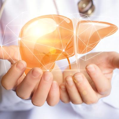 Steatoza hepatică: Ce simptome îți dă ficatul gras, care sunt cauzele, cum îl descoperi și ce opțiuni de tratament poți avea
