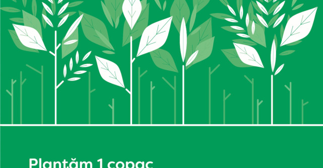 Cu intenții bune. Plantăm un copac la fiecare comandă plasată pe biodeck.ro