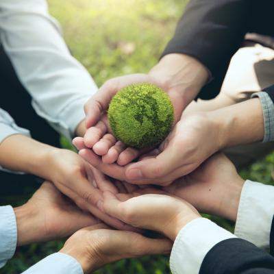 Cum să fii mai prietenoasă cu mediul în această toamnă. Gesturi mici care pot aduce schimbări mari