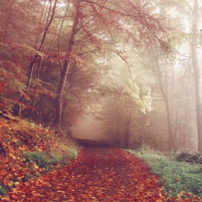 Filme fantastice de vazut cand vrei un strop de magie in viata ta