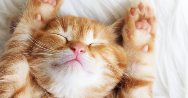 SOMNUL - o arma eficienta impotriva depresiei