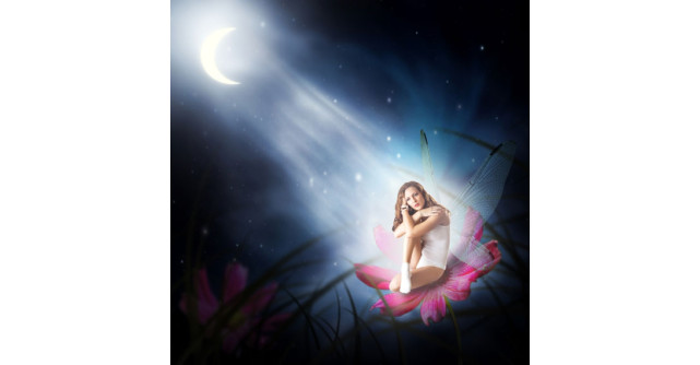 Astrologie naturist-emotionala: Semnul Lunii si cei 12 VINDECATORI Florali