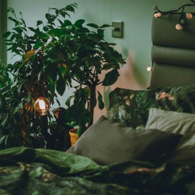 Oaza ta de liniște urbană: Cum transformi apartamentul într-un sanctuar de confort și aer curat