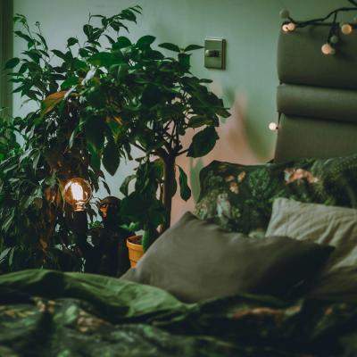 Oaza ta de liniște urbană: Cum transformi apartamentul într-un sanctuar de confort și aer curat