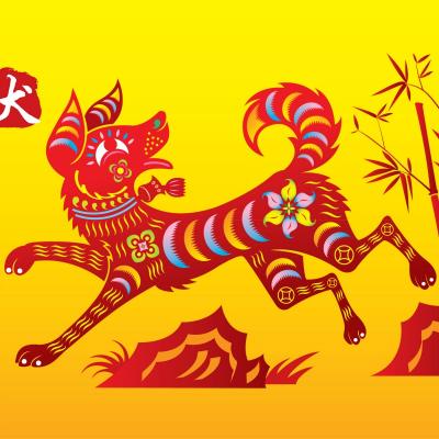 Horoscop chinezesc: Ce-ti rezerva Anul Cainelui de Pamant in 2018