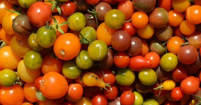 Beneficiile incredibile ale rosiilor cherry