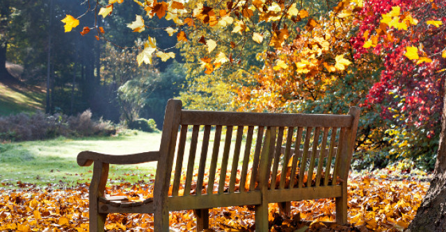 Paulo Coelho: 10 lucruri pe care le-am invatat din viata...