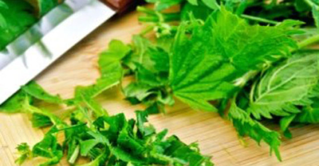 Urzicile sunt alimentul Postului Mare: Beneficii nemaipomenite pentru sanatate si alimentatie!