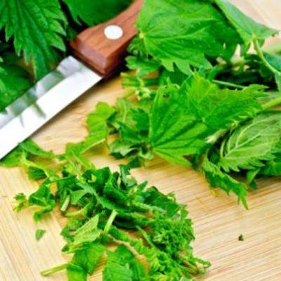 Urzicile sunt alimentul Postului Mare: Beneficii nemaipomenite pentru sanatate si alimentatie!