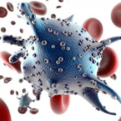 Telocitele, lumea medicala mondiala reactioneaza