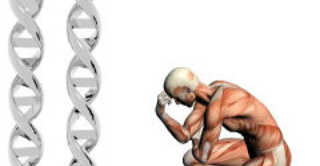 Scapa de durerile musculare cu ajutorul electromiografiei