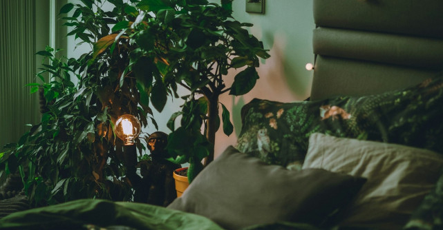 Oaza ta de liniște urbană: Cum transformi apartamentul într-un sanctuar de confort și aer curat