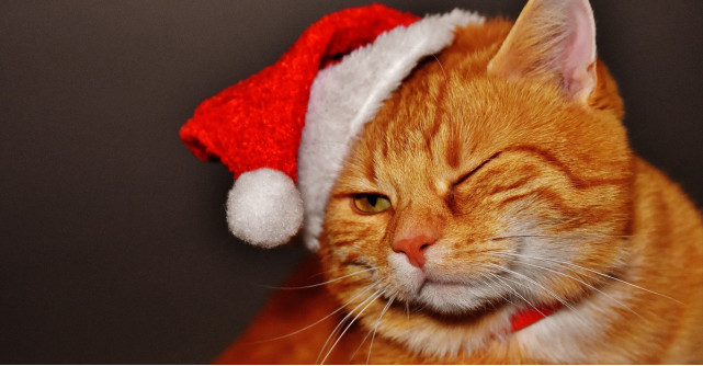 Craciun fericit cu buget redus: 7 cadouri sub 100 lei