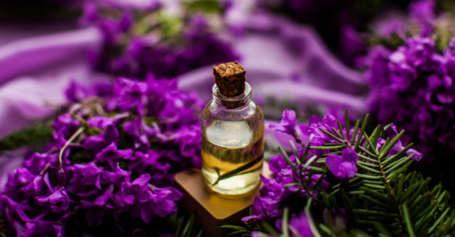 Top 3 cele mai bune uleiuri esențiale pentru a vindeca anxietatea