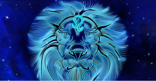 Barbatul Leu descifrat cu bune si cu rele