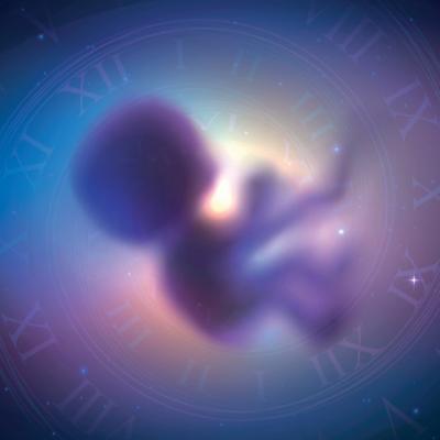 Călătorie în alte vieți