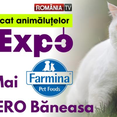 Show de pești exotici, concurs de grooming, prezentare de rase canine românești și internaționale și ședințe foto gratuite 