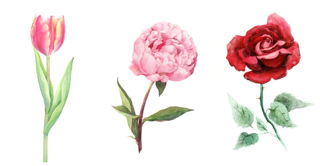 Alege o floare si afla tot ce nu stiai despre personalitatea ta