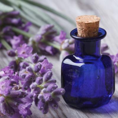 Lucruri esenţiale despre beneficiile lavandei