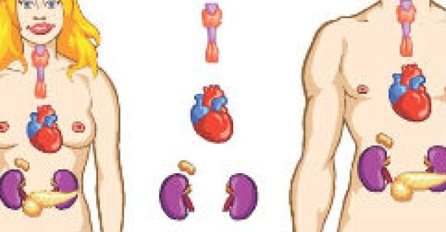 Hipotiroidia  afectiunea care ne ingrasa?