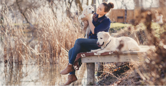 Cele mai emoționante citate despre câini, care o să îți bucure inima