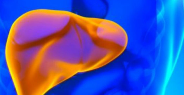 Scapa de pietre la ficat si fiere