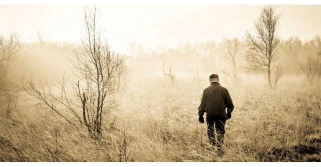 Ai uitat ca viata trebuie traita?