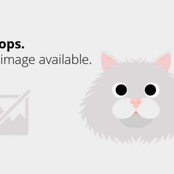 Dress code, decodat! 5 rochii de purtat la orice nuntă, pentru orice buget