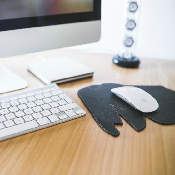 Cele mai simpatice modele de mouse care-ti sporesc productivitatea