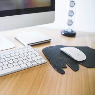 Cele mai simpatice modele de mouse care-ti sporesc productivitatea