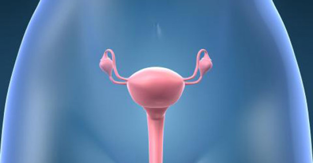 Sindromul ovarelor polichistice si cum poate afecta viata unei femei