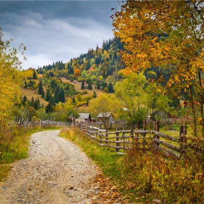 Vindecare spirituală: sedință de meditație în curtea de la țară