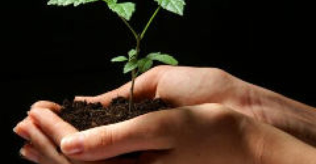 Beneficiile semintelor de in