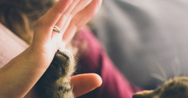 3 motive pentru a-ti manifesta bunatatea sufleteasca