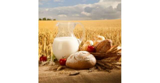 Expertii europeni - Motive pentru a consuma cereale