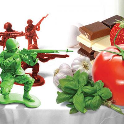 Biblia intolerantelor alimentare