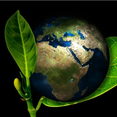 Unilever se alatura Organizatiei Natiunilor Unite in campania Global Goals 