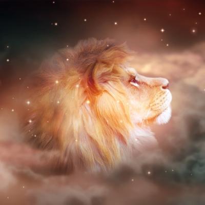 Cele 10 superputeri ale zodiei Leu în 2026. Urmează cea mai bună vară din viața acestei zodii!