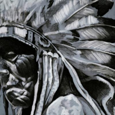 Oracolul amerindienilor: Cele 17 lecții pentru a îți transforma viața