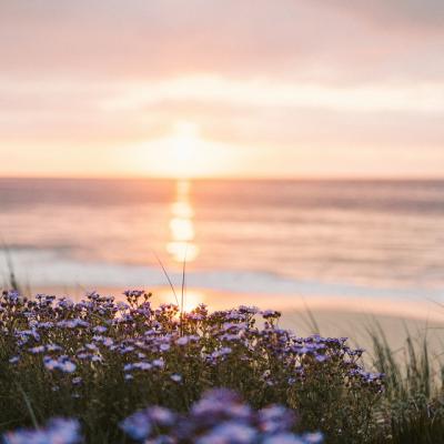 La doar 115 de kilometri de București se regăsește o adevărată oază de relaxare! Plaja Mare din Călărași s-a deschis din 20 mai!