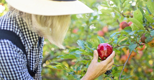 Cura intensa de detoxifiere pentru vara