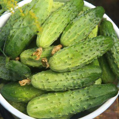 Câte calorii au castraveții cruzi/murați și beneficiile lor pentru sănătate