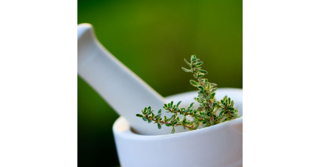 5 Tratamente naturiste pentru CISTITA si infectii urinare