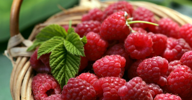 Zmeura: beneficii uimitoare pentru sanatate