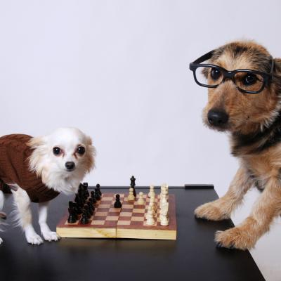 25 jocuri de societate, jocuri educative și board games