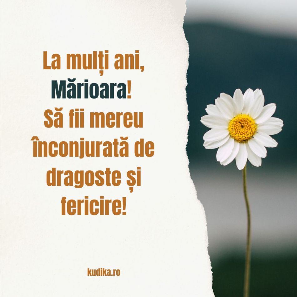 Adormirea Maicii Domnului (15 august) și Sf. Maria Mică (8 august). Când spunem La mulți ani? Diferențe și semnificații