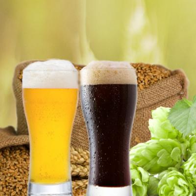 Avocado, cerealele si berea: surse de fibre esentiale pentru sistemul digestiv